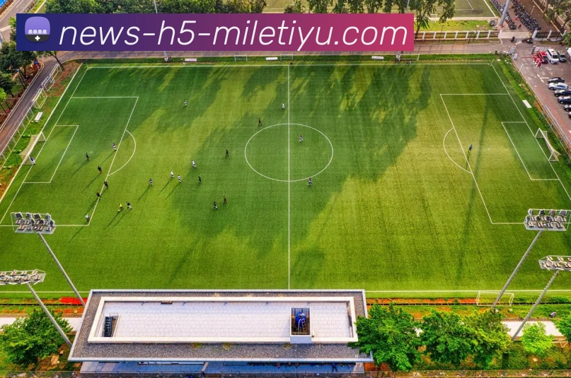 米乐体育服务体系